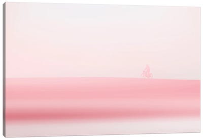 Pink Cycling Canvas Art Print - Igor Vitomirov