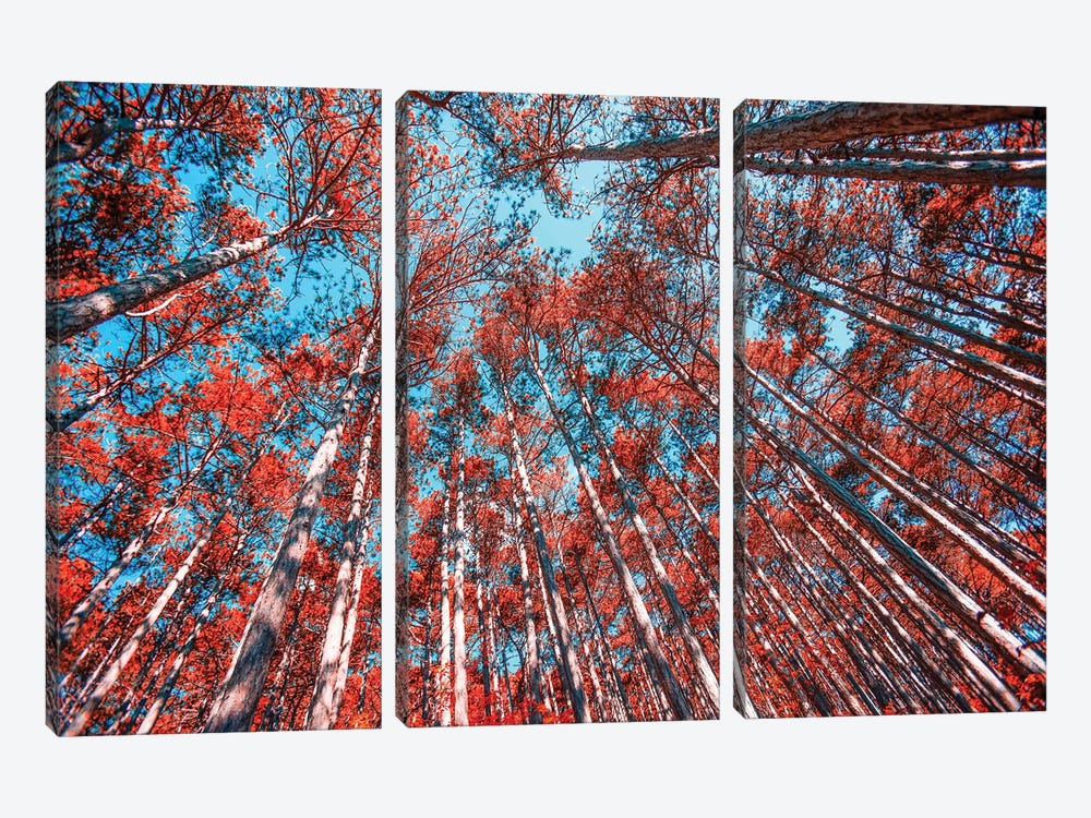 Red Trees I by Igor Vitomirov 3-piece Art Print