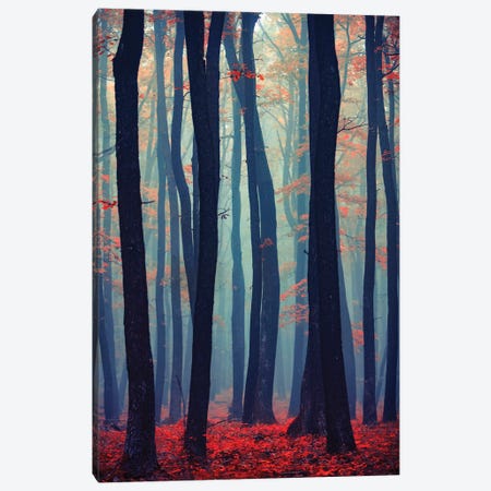 Autumn Forest In The Mist II Canvas Print #IVI7} by Igor Vitomirov Canvas Art Print