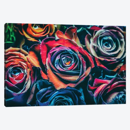 Roses Canvas Print #IVI80} by Igor Vitomirov Canvas Art