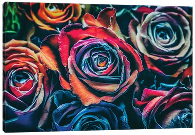 Roses Canvas Art Print - Igor Vitomirov