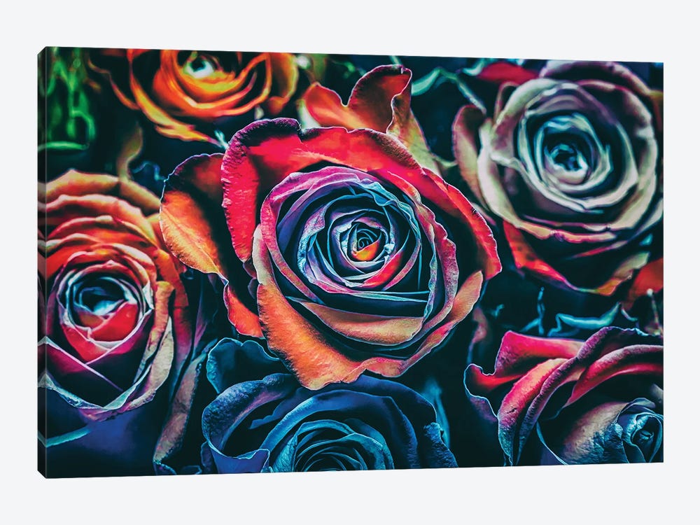 Roses by Igor Vitomirov 1-piece Canvas Print