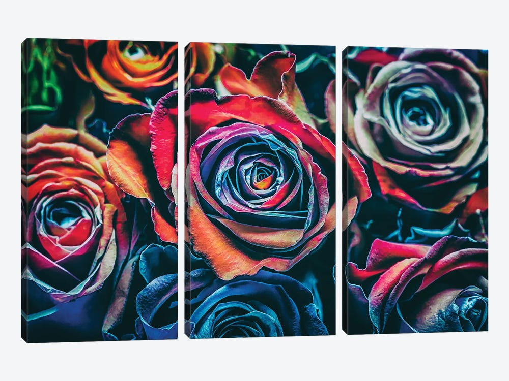 Roses by Igor Vitomirov 3-piece Art Print