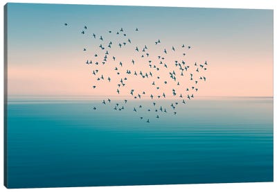 Seascape And Birds I Canvas Art Print - Igor Vitomirov