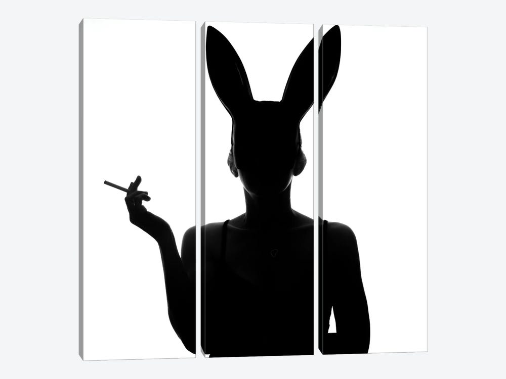 Smoking Rabbit by Igor Vitomirov 3-piece Canvas Wall Art