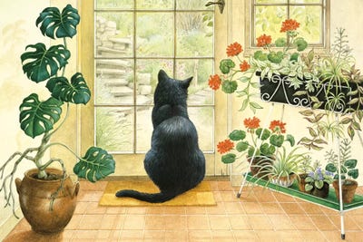 Chesterton At The Back Door by Ivory Cats metal wall art