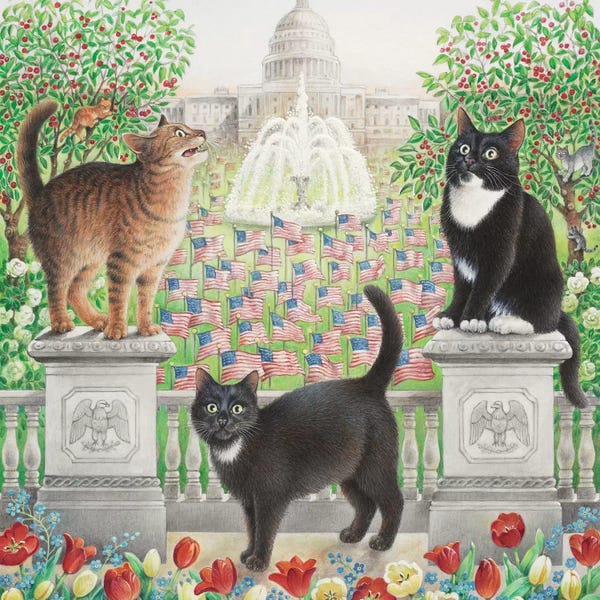 Tuxedo Cats: Flag Day With Emu Gabby And Puff by Ivory Cats