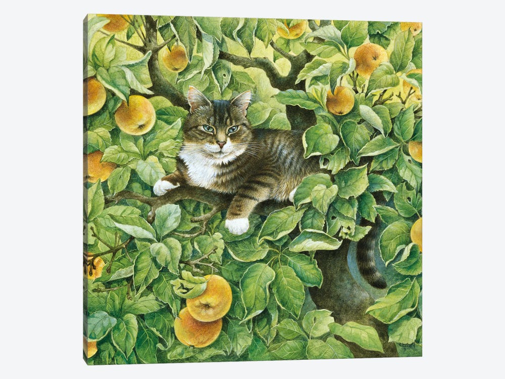 Gemma In The Apple Tree by Ivory Cats 1-piece Canvas Art