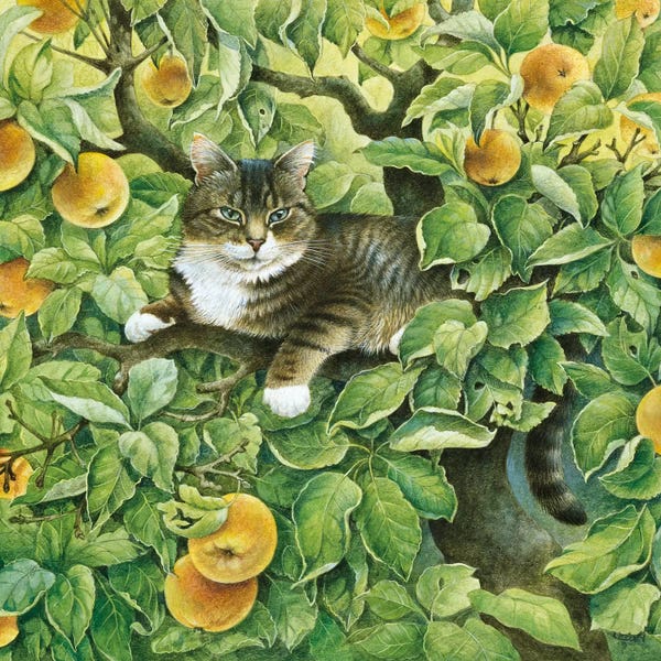 Ivory Cats: Gemma In The Apple Tree by Ivory Cats