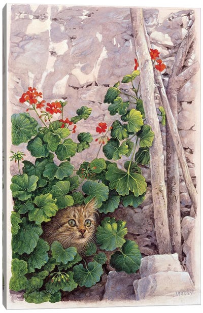 Katia Greek Cat In Geraniums Canvas Art Print - Ivory Cats