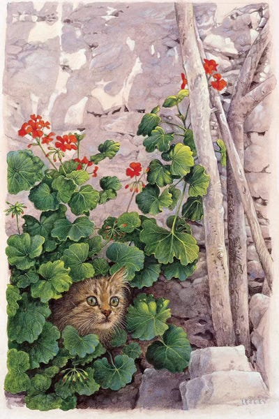 Geraniums: Katia Greek Cat In Geraniums by Ivory Cats
