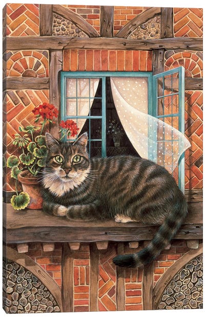 Malteazer At The Window Canvas Art Print - Ivory Cats