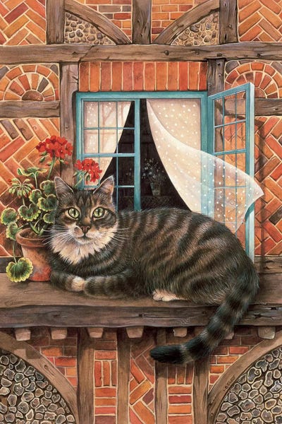 Ivory Cats: Malteazer At The Window by Ivory Cats