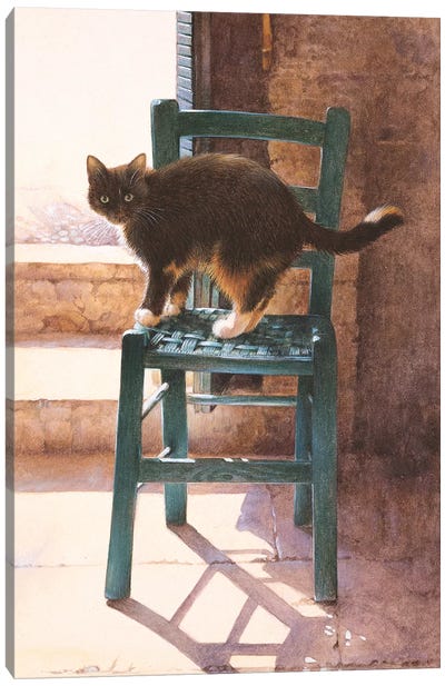 Motley In A Mediterranean Interior Canvas Art Print - Ivory Cats