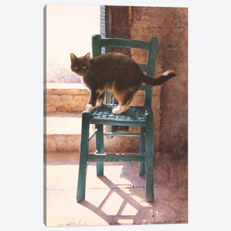 Motley In A Mediterranean Interior Canvas Print #IVR30} by Ivory Cats Canvas Wall Art
