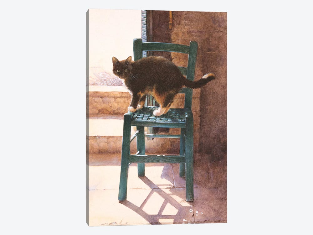 Motley In A Mediterranean Interior by Ivory Cats 1-piece Canvas Wall Art