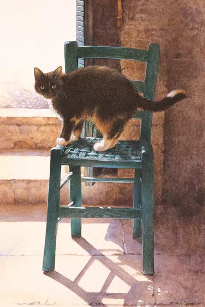 Black Cats: Motley In A Mediterranean Interior by Ivory Cats