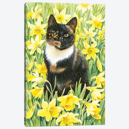 Motley In Wild Daffodils Canvas Print #IVR32} by Ivory Cats Canvas Artwork