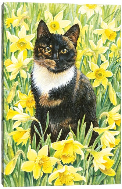 Motley In Wild Daffodils Canvas Art Print - Ivory Cats
