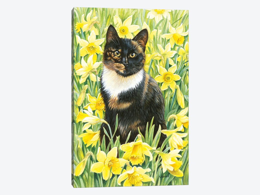 Motley In Wild Daffodils by Ivory Cats 1-piece Canvas Art