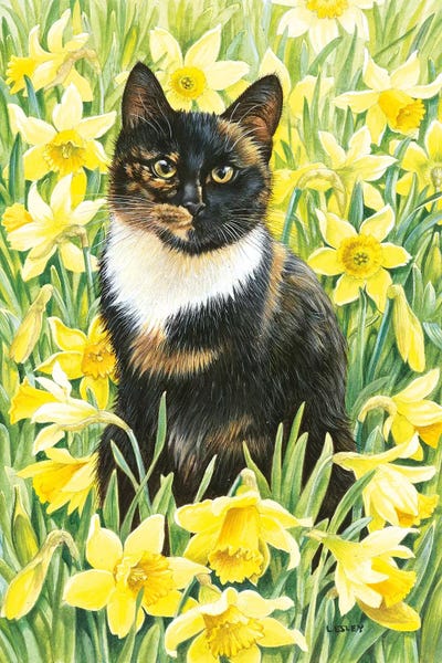 Daffodils: Motley In Wild Daffodils by Ivory Cats