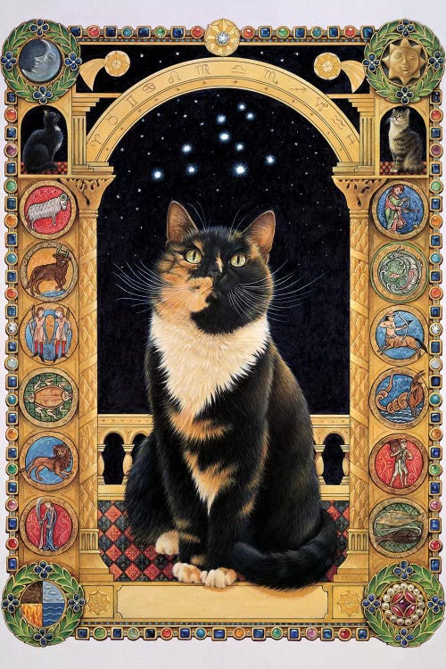 Motley Stargazing At Her Sign by Ivory Cats wall art