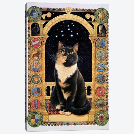 Motley Stargazing At Her Sign Canvas Print #IVR33} by Ivory Cats Canvas Wall Art