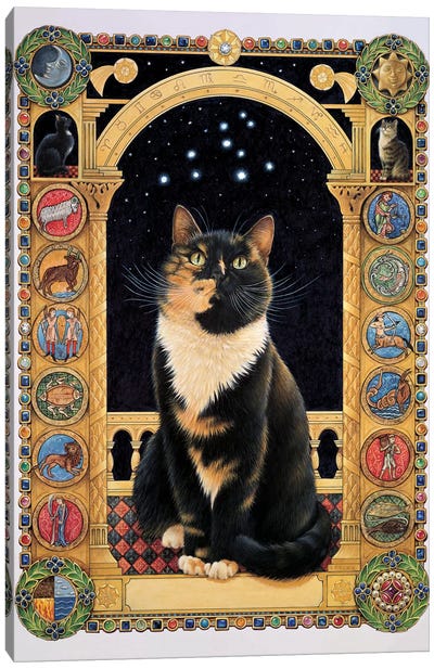 Motley Stargazing At Her Sign Canvas Art Print - Ivory Cats