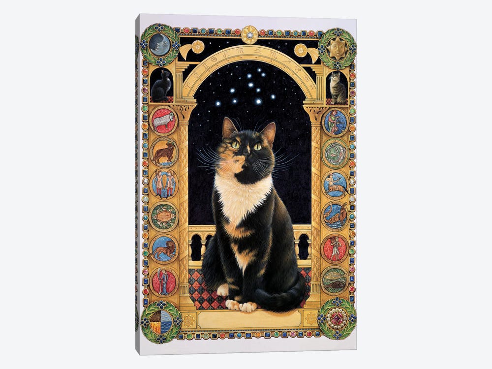 Motley Stargazing At Her Sign 1-piece Canvas Art Print