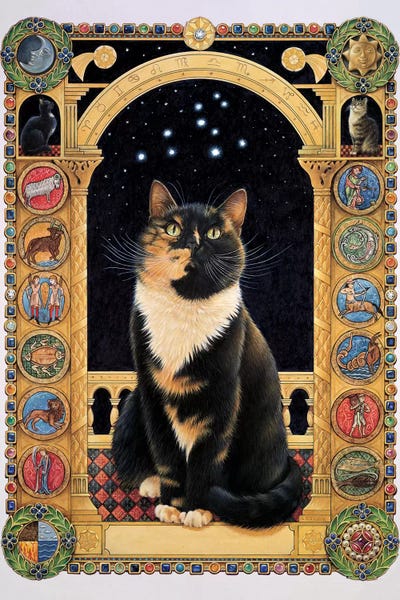 Ivory Cats: Motley Stargazing At Her Sign by Ivory Cats