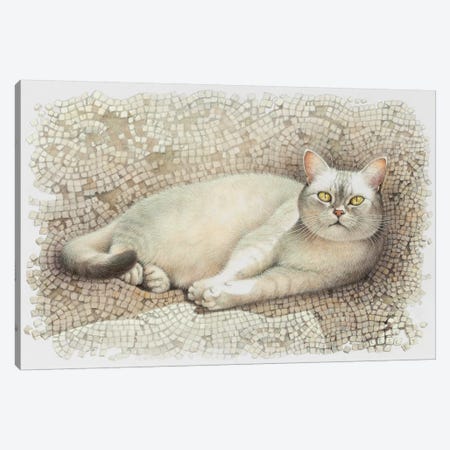 Mumu Resting On Sun Warmed Mosaic Canvas Print #IVR34} by Ivory Cats Canvas Art Print