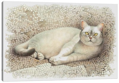 Mumu Resting On Sun Warmed Mosaic Canvas Art Print - British Shorthair Cat Art