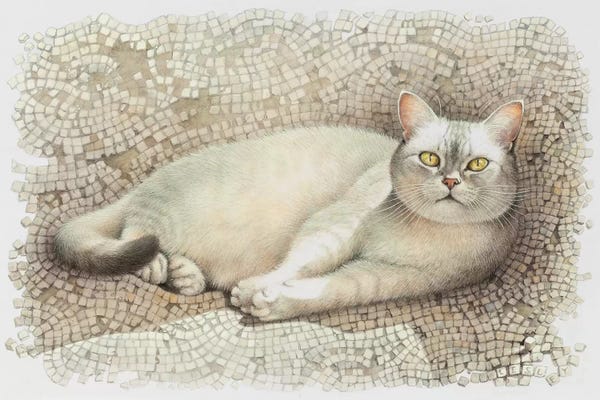 British Shorthairs: Mumu Resting On Sun Warmed Mosaic by Ivory Cats