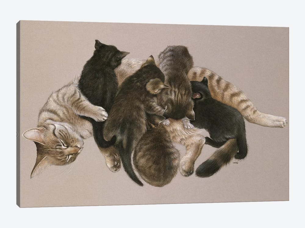 Muppet Nursing Her Kittens by Ivory Cats 1-piece Canvas Print
