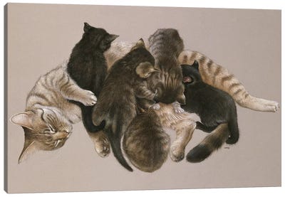 Muppet Nursing Her Kittens Canvas Art Print - Ivory Cats