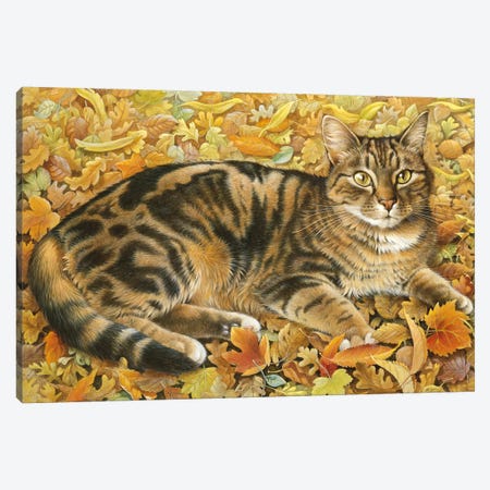 Octopussy In Autumn Leaves Canvas Print #IVR37} by Ivory Cats Art Print