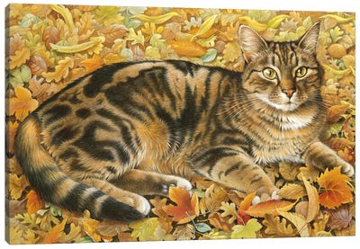 Octopussy In Autumn Leaves Canvas Art Print - Ivory Cats