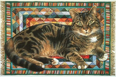 Ocicats