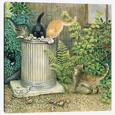 Teamwork In A Neighbouring Dustbin Canvas Print #IVR49} by Ivory Cats Canvas Art Print