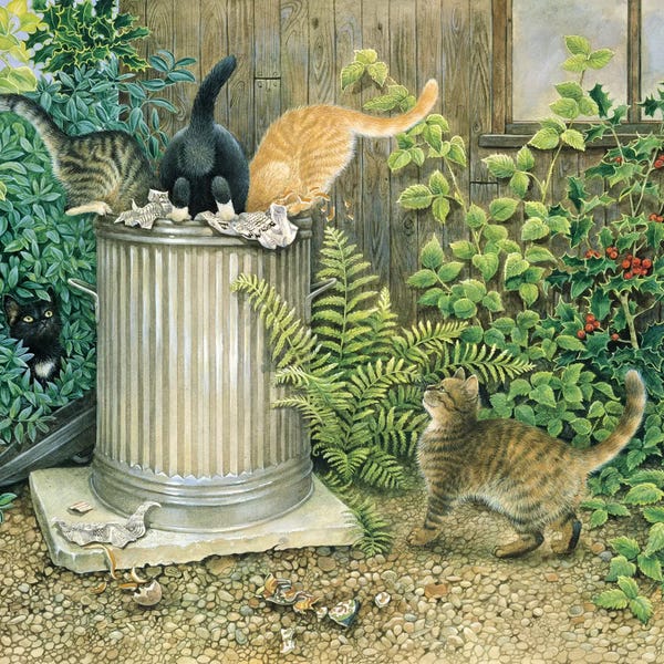 Orange Cats: Teamwork In A Neighbouring Dustbin by Ivory Cats