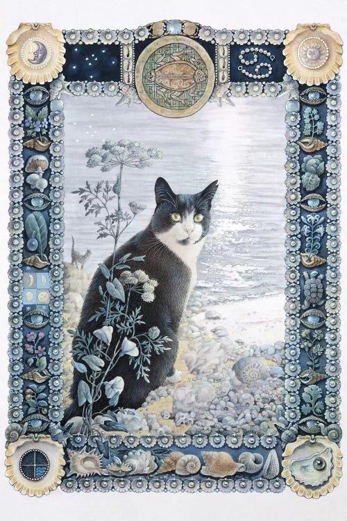 Cancer - Chesterton by Ivory Cats wall art