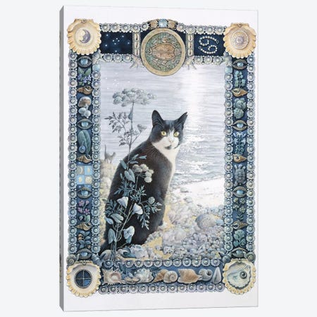 Cancer - Chesterton Canvas Print #IVR8} by Ivory Cats Canvas Artwork