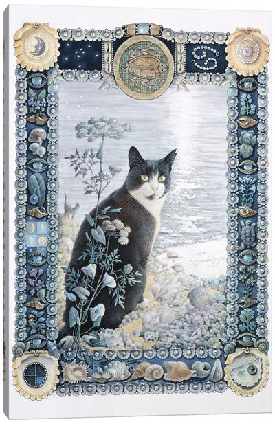 Cancer - Chesterton Canvas Art Print - Tuxedo Cat Art