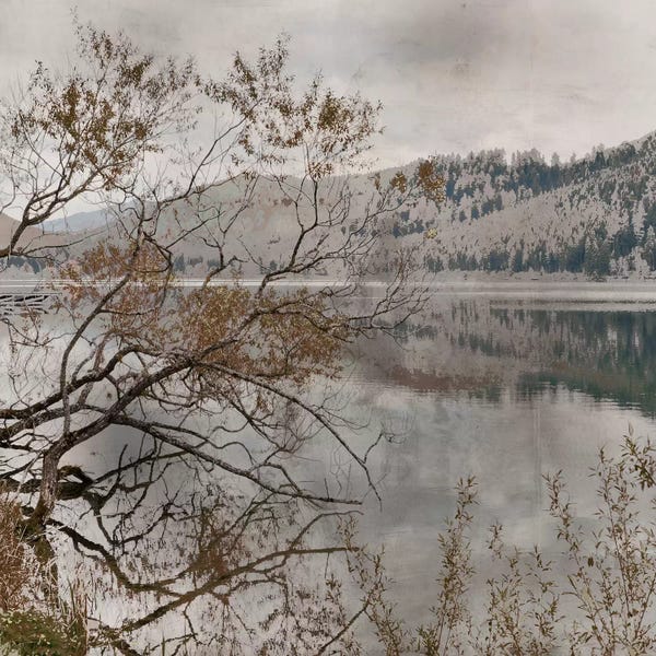 Irene Weisz: Warm Afternoon I by Irene Weisz