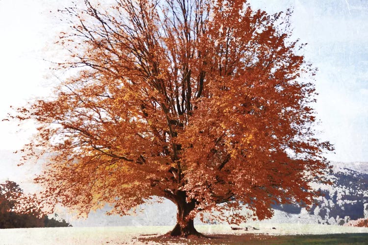 Season Of Fall by Irene Weisz wall art