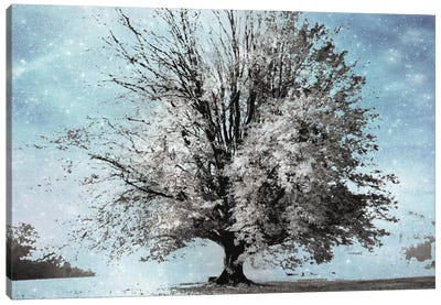 Season Of Winter Canvas Art Print