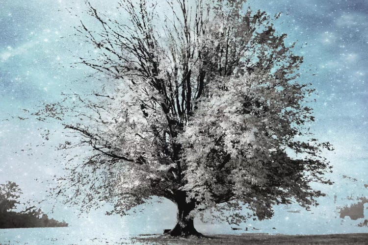 Season Of Winter by Irene Weisz wall art
