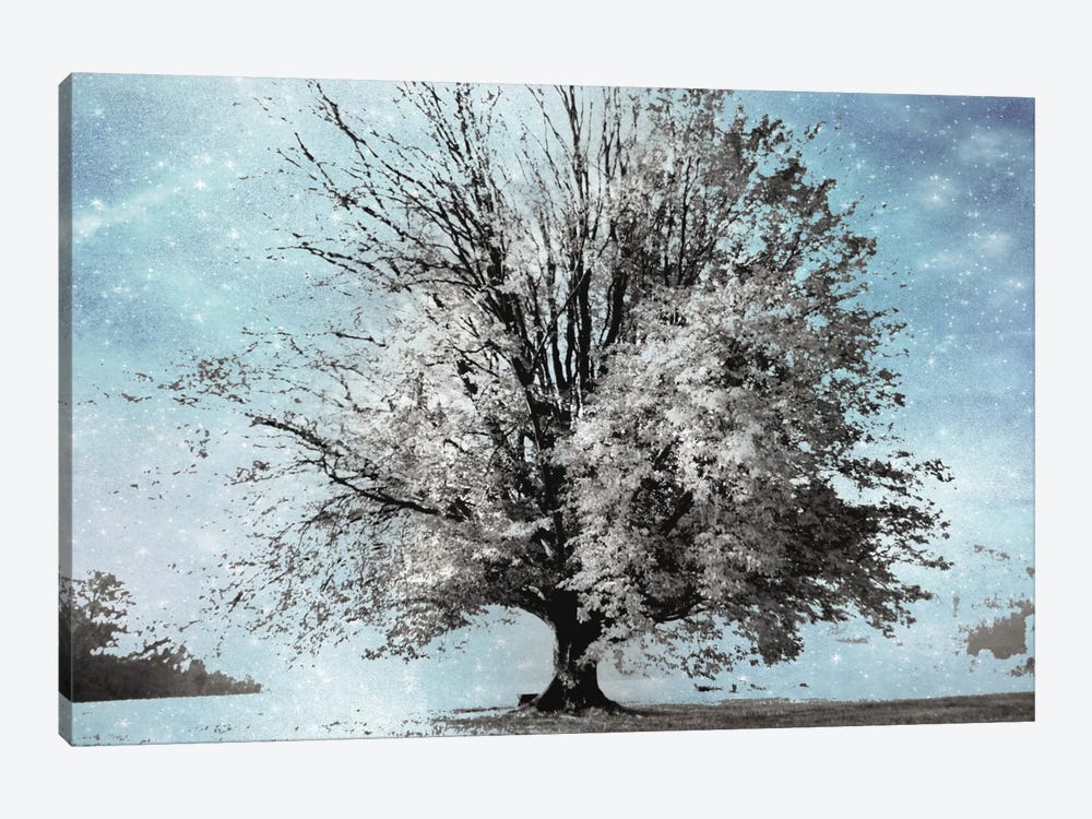 Season Of Winter by Irene Weisz 1-piece Canvas Print