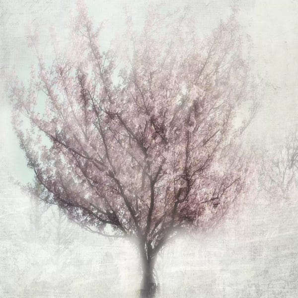 Irene Weisz: Blossom Of Spring I by Irene Weisz