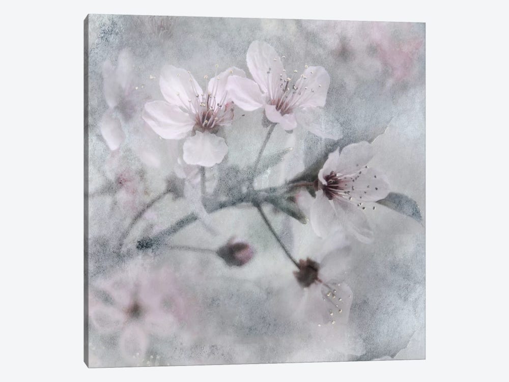Spring Melody I by Irene Weisz 1-piece Canvas Art Print